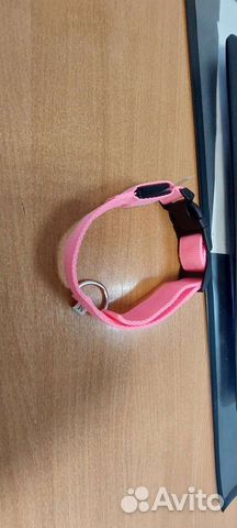 Ошейник для собак