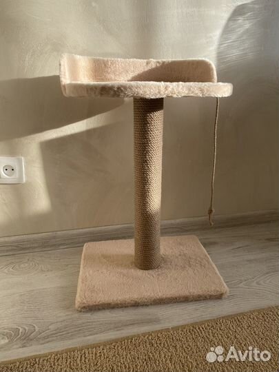 Когтеточка