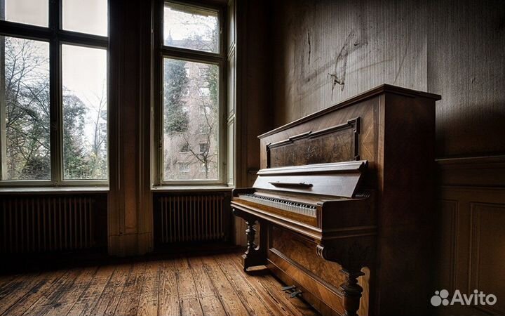 Аранжировка, композиция, аккомпанемент