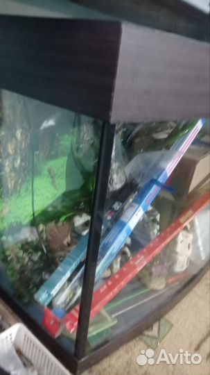 Аквариум