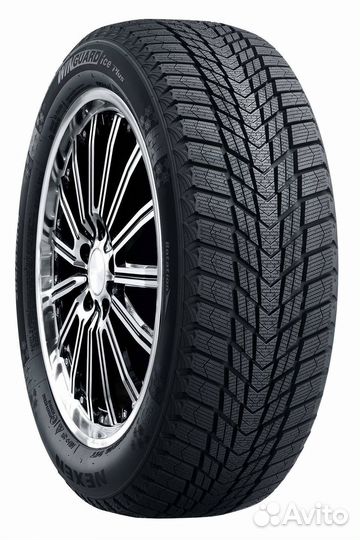 Roadstone Winguard Ice Plus 225/50 R17 98T