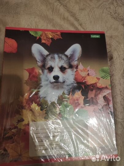 Тетради 1-4 класс