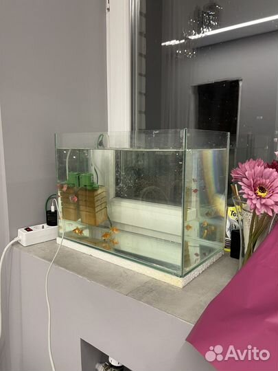 Аквариум 30л