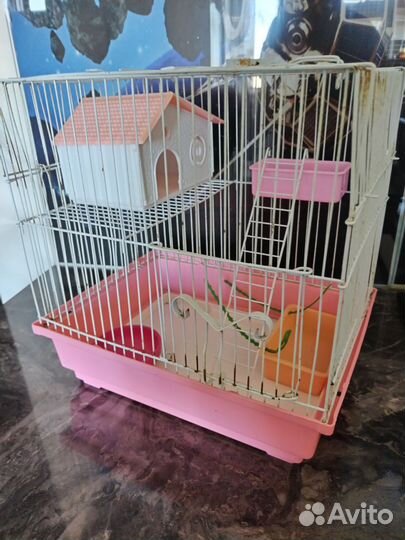 Клетка и переноска