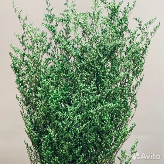 Сухоцветы в наличии