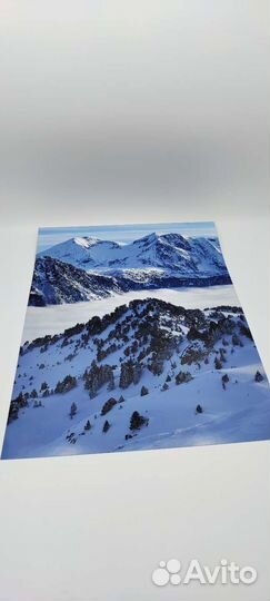 Набор фото природы