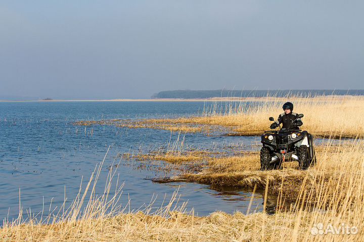 Квадрицикл baltmotors Striker 700 EFI новый с птс