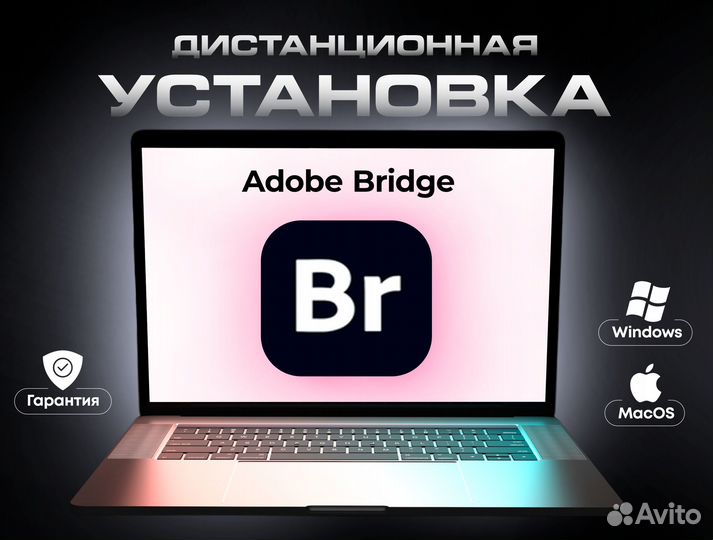 Adobe Bridge Лицензия Навсегда Windows Mac iMac