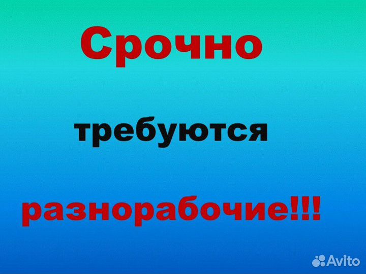 Требуются разнорабочие, оплата ежедневно