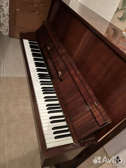 Пианино ростов-дон