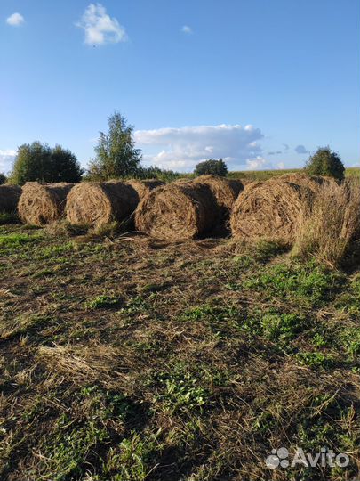 Сегодня в рулонах 350 кг