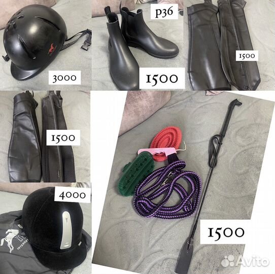 Конный спорт