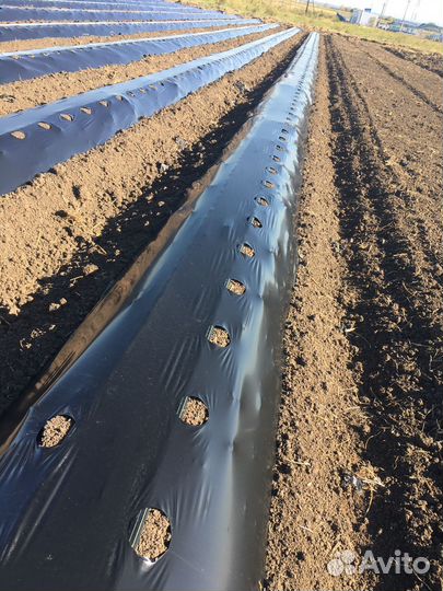 Пленкоукладчик / Грядообразователь YANMAR RSA900MD, 2015