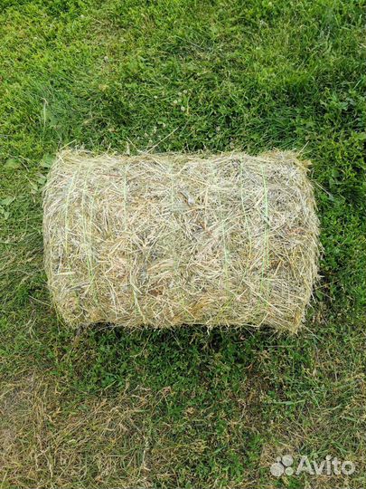 Сено в мини рулонах урожай 2024 года