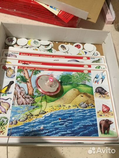 Электронная викторина 