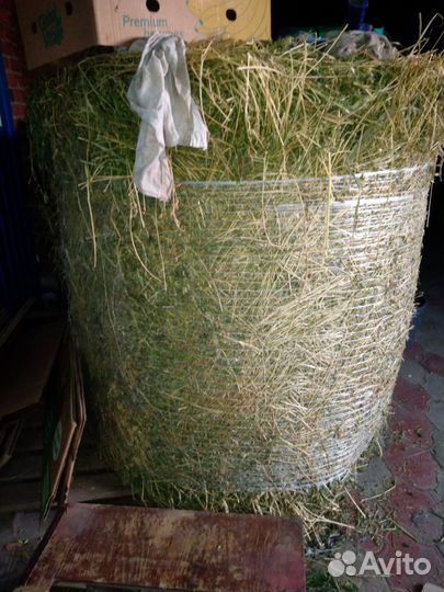 Сено в тюках