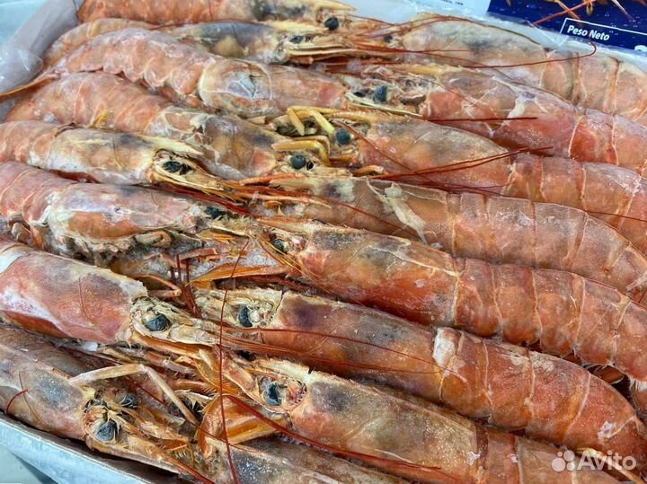 Лангустины L1 крупный. Опт / без посредников