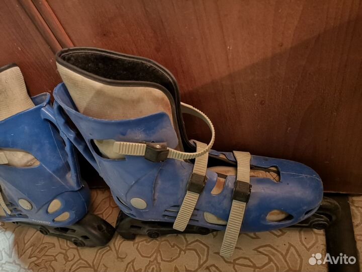 Ролики взрослые