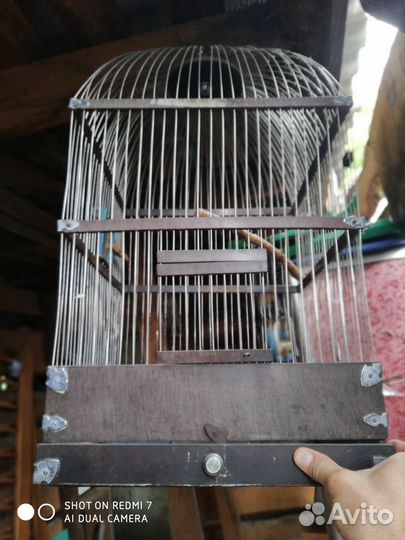 Клетка для птиц