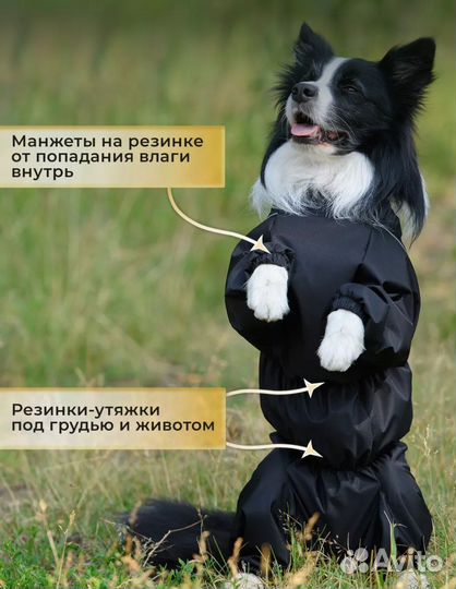 Дождевик для средней собаки