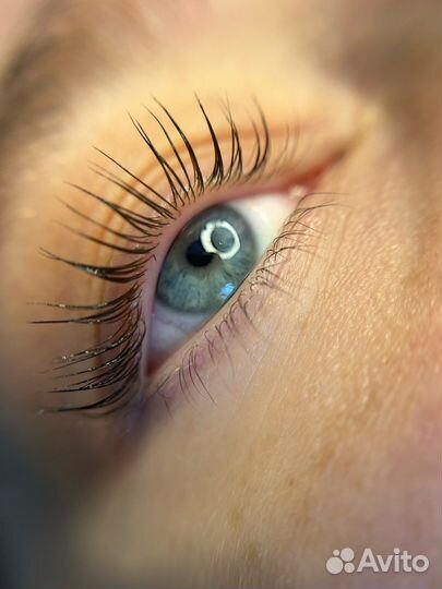 Архитектура бровей и ламинирование ресниц