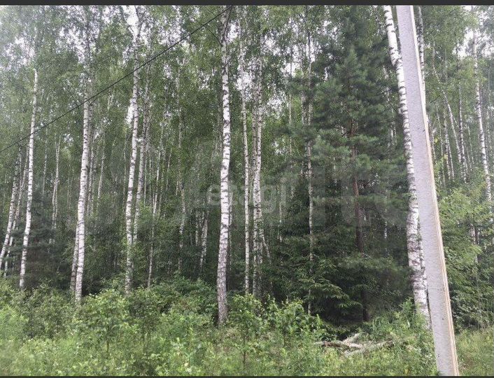 Участок 22,6 сот. (СНТ, ДНП)