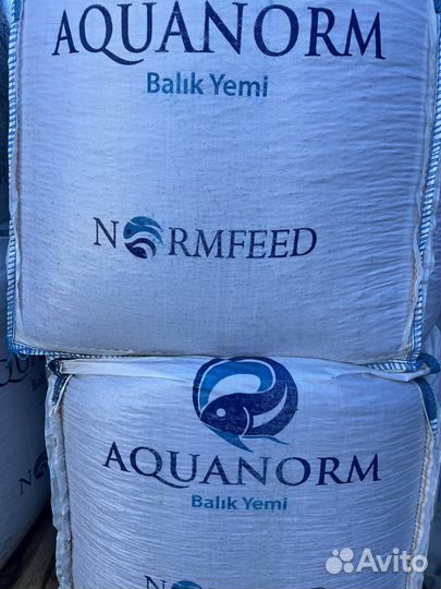 Корм для форели