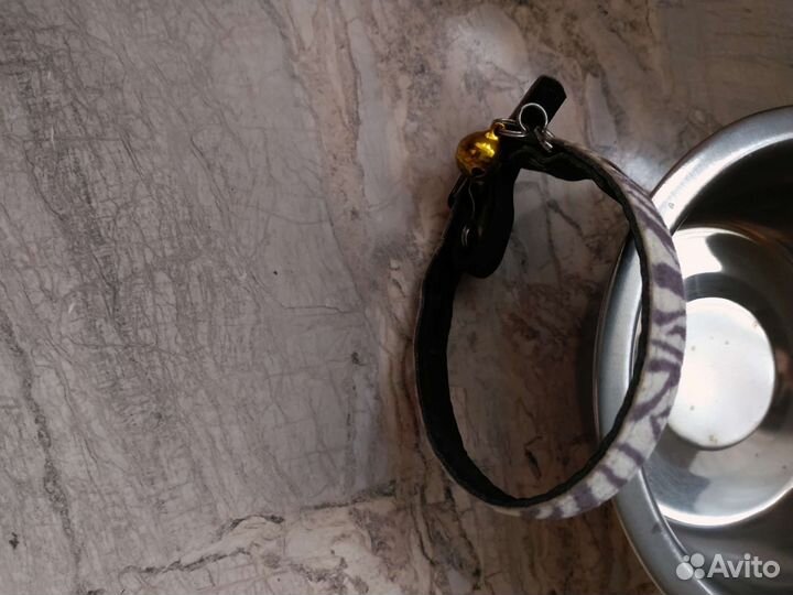 Ошейник и мисочка