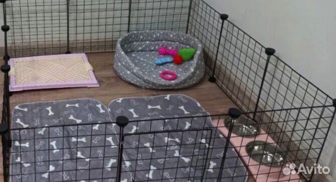 Вольер манеж