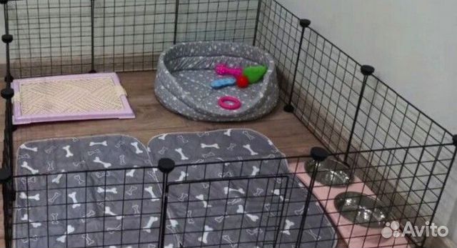 Вольер манеж