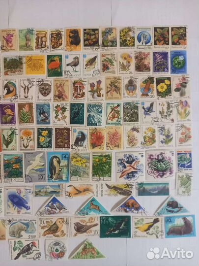 Марки СССР Флора и Фауна