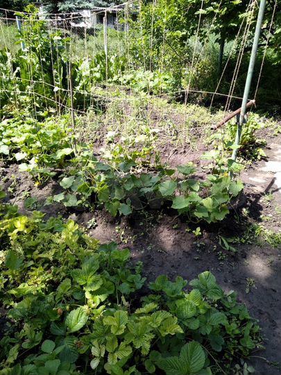 Дом 346 м² на участке 8 сот.