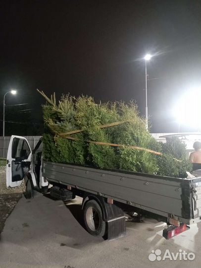 Грузоперевозки газель