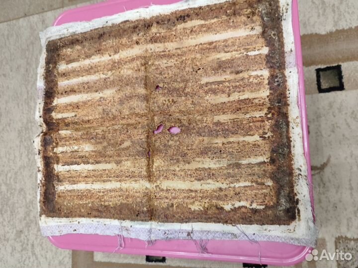 Пчелиный холстик в баню