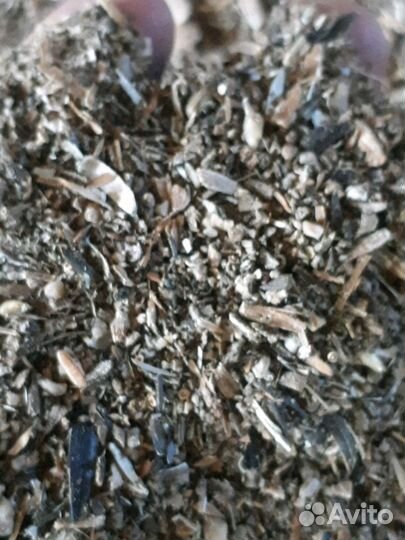 Отход для животных и рыбы зерно отходы семечек