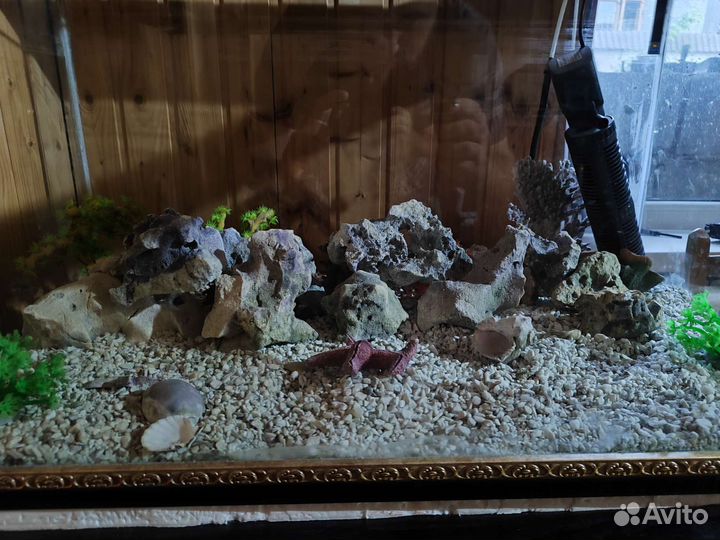Аквариум