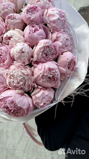 Большой букет из пионов. 31 штука