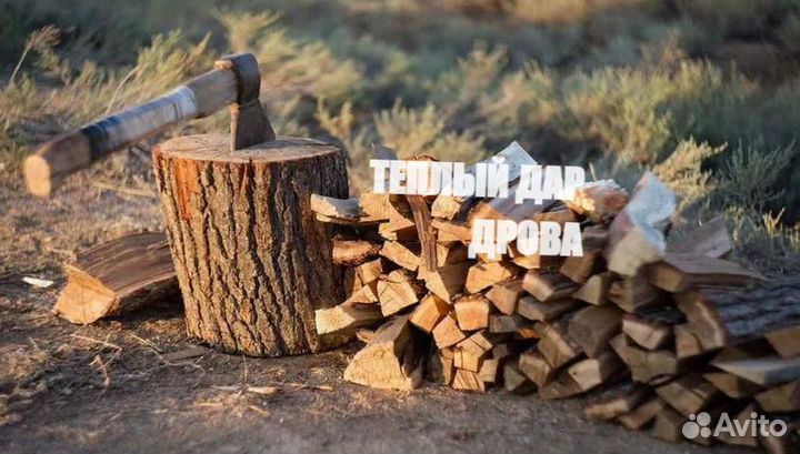 Дрова