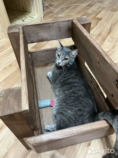 Лежанка для кошек