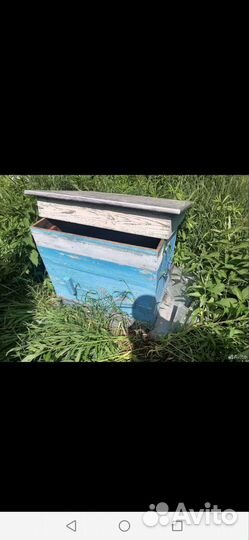 Продам ульи для пчел