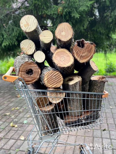 Дрова поленья чурбаки фруктовых деревьев