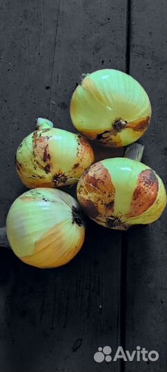 Картошка, лук