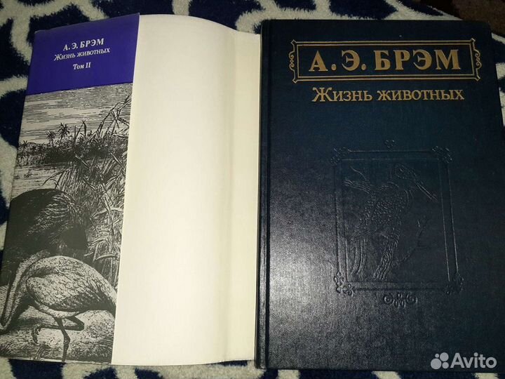 Книги Брем А.Е и Фабр Ж.А