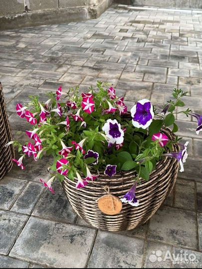 Кашпо напольное