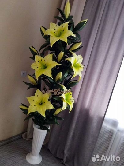 Интерьерные цветы