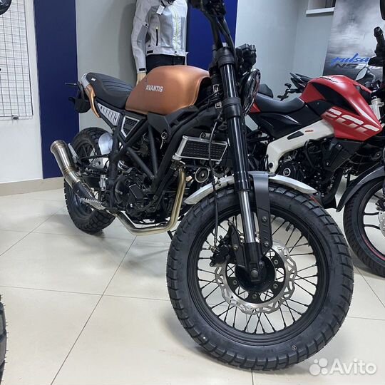 Avantis City 250 птс