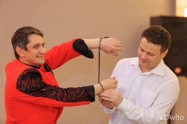 Фокусы, иллюзия, королевские пуделя, питон Лили и