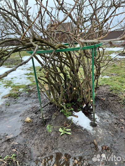 Подставка под кусты