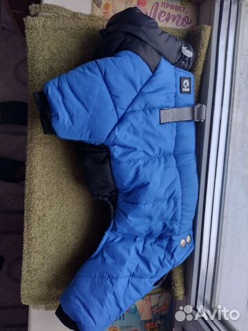 Одежда для собак, размер 