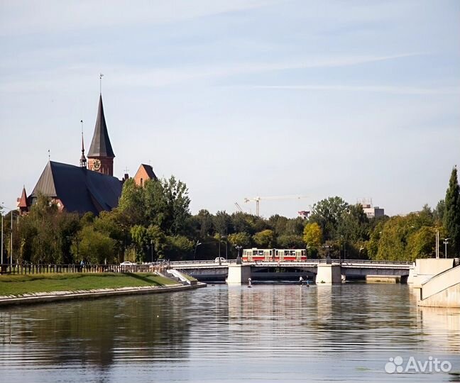 Калининград Топ-Экскурсия Кёнигсберг: наследие тев